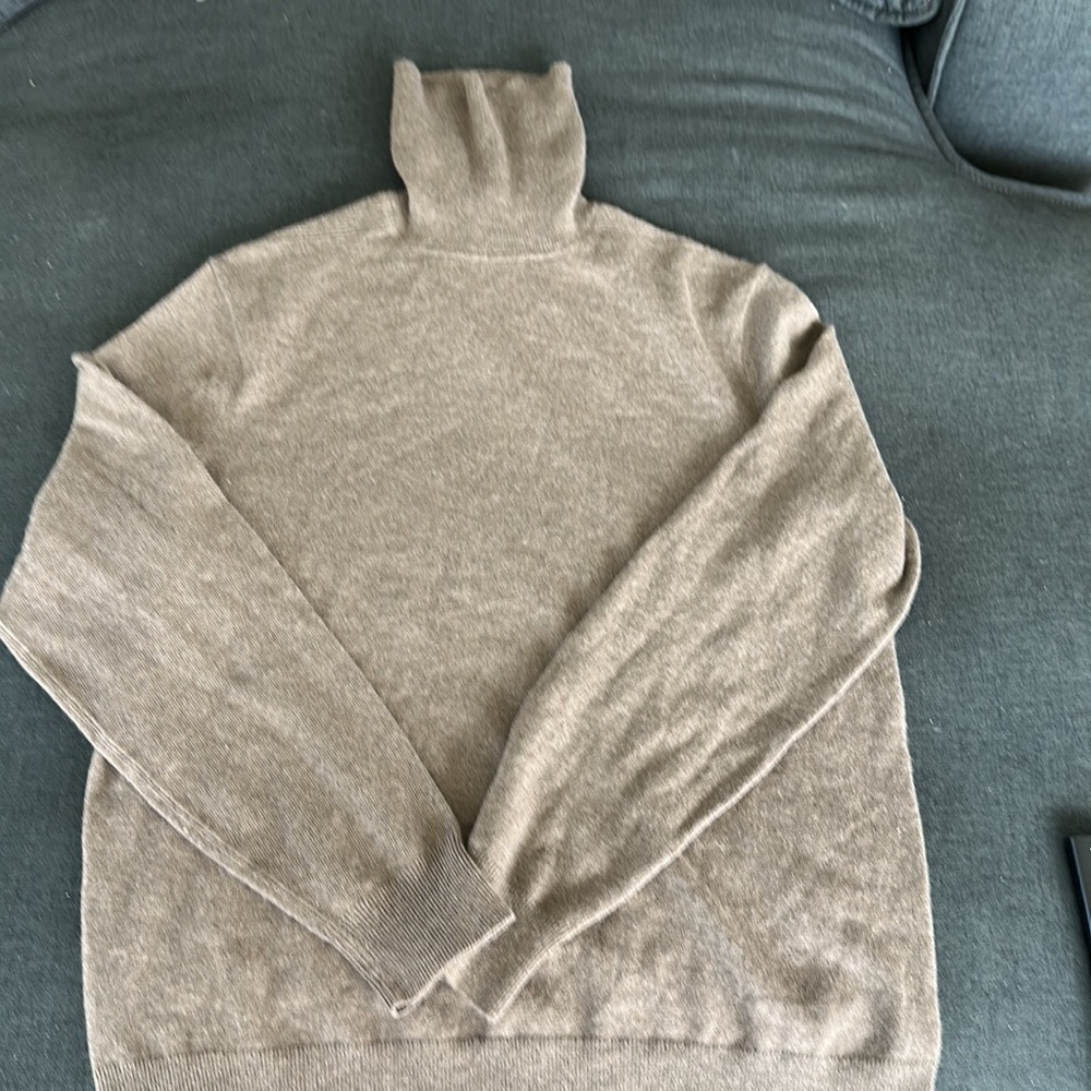 Theory Turtle neck